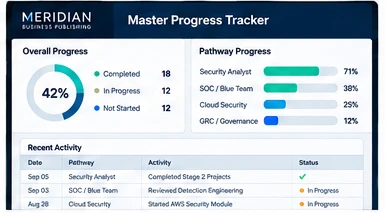 The Master Progress Tracker sheet showing overall progress, per-pathway completion bars and recent activity.